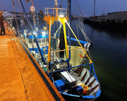 Vrijdag - Visdag in Nieuwpoort