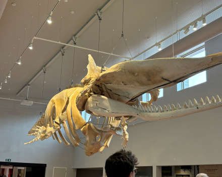 Het visserijmuseum - Navigo: absolute aanrader!