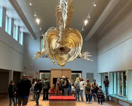 Het visserijmuseum - Navigo: absolute aanrader!