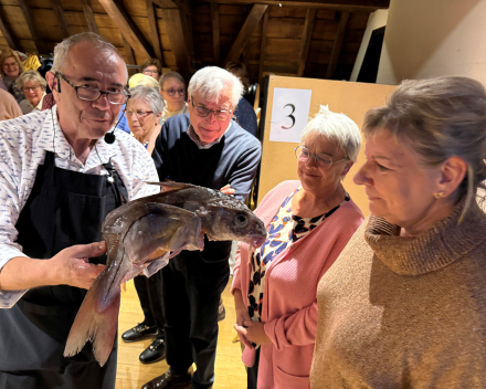 Was het nu in het Hospice de Beaune of het Oud Gasthuis van Asse?