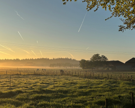 De morgenstond heeft goud in de mond !