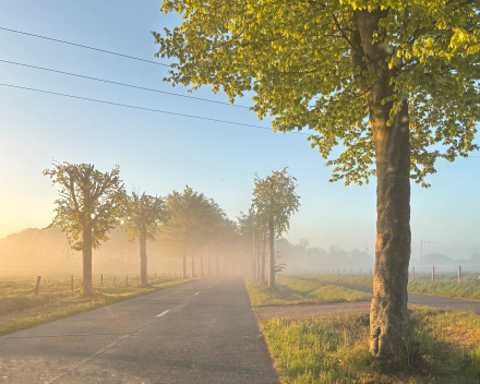 De morgenstond heeft goud in de mond !