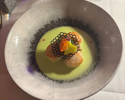 Meteen knal erop: het Landhuis Molenhof 2025-2026