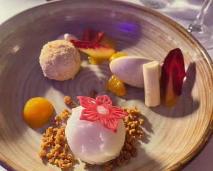 Meteen knal erop: het Landhuis Molenhof 2025-2026