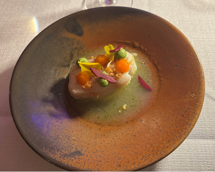 Meteen knal erop: het Landhuis Molenhof 2025-2026