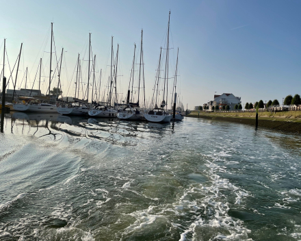 Deel 2 van Vrijdag-Visdag in Nieuwpoort