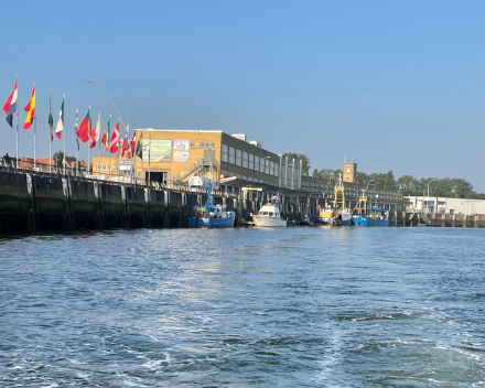 Deel 2 van Vrijdag-Visdag in Nieuwpoort