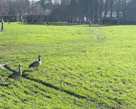 A walk in the park