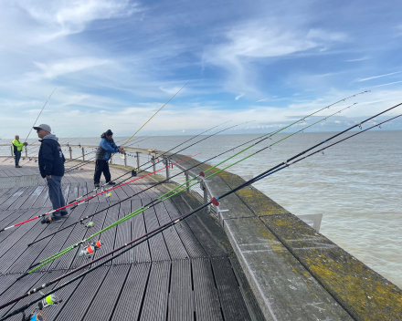 Op en rond de schitterend vernieuwde pier van Blankenberge