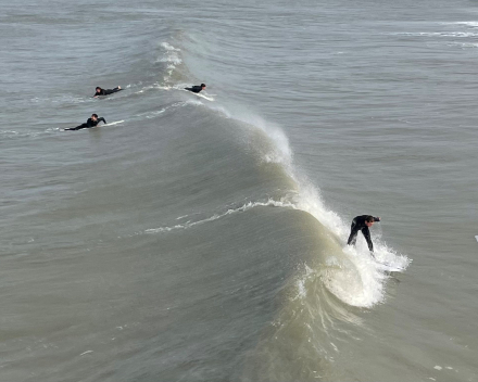 Op en rond de schitterend vernieuwde pier van Blankenberge