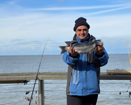 Op en rond de schitterend vernieuwde pier van Blankenberge