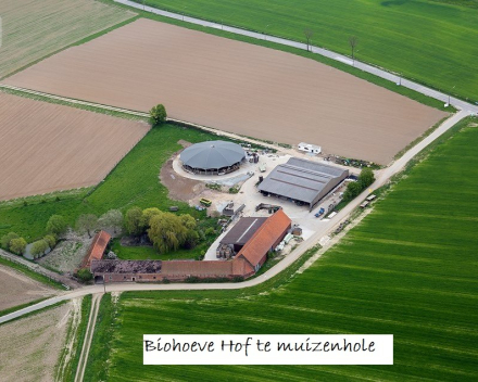 Pompoenen in de soep gedraaid