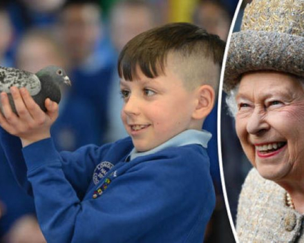 Jori bezoekt de vrienden: van Buckingham Palace tot de Kleine Johannes in Leuven
