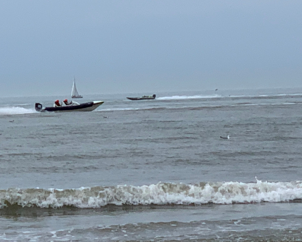 De voorbije week in woord en beeld
