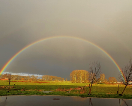 Alle timing overboord gooien voor dit unieke moment