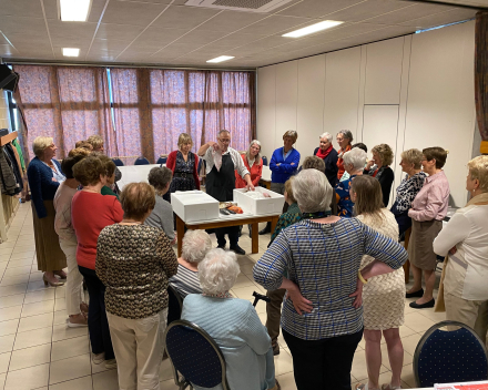 Fijne namiddag in Aalst