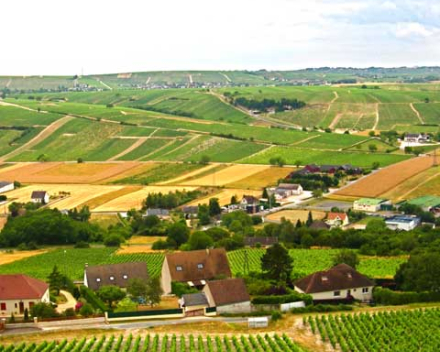 Sancerre  Raimbault   Les Belles Côtes   AOP Sancerre    