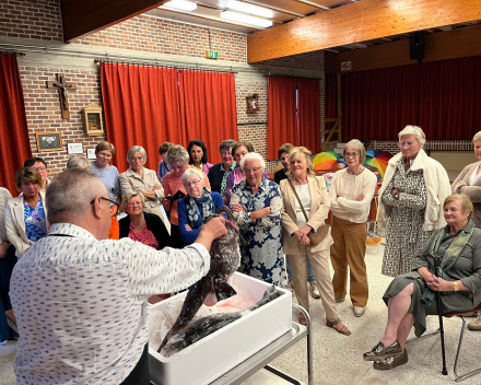 Mooie fin de saison voorstelling in Eernegem