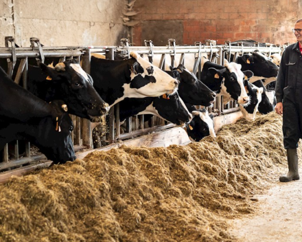 Leerrijk bezoek met fijne Unizo receptie bij kaasboerderij het Baliehof