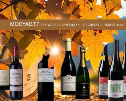 Feest in het dorp
