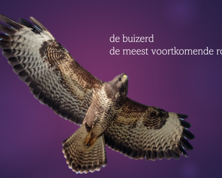 Jori als vertelnamiddag op powerpoint
