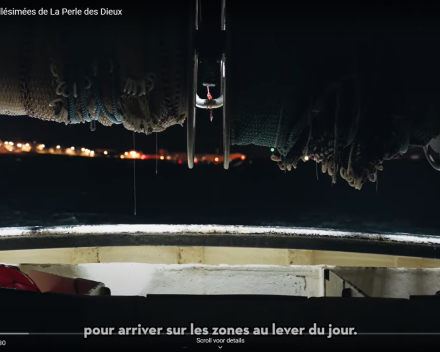 Nieuwe lading sardines komt er aan
