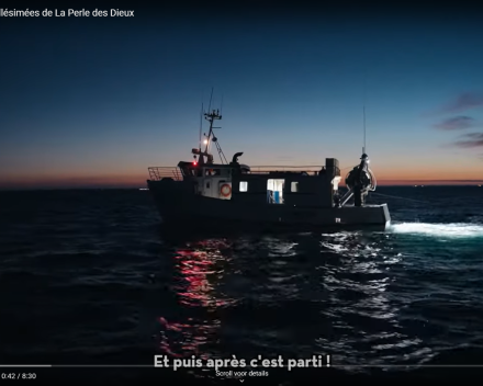 Nieuwe lading sardines komt er aan