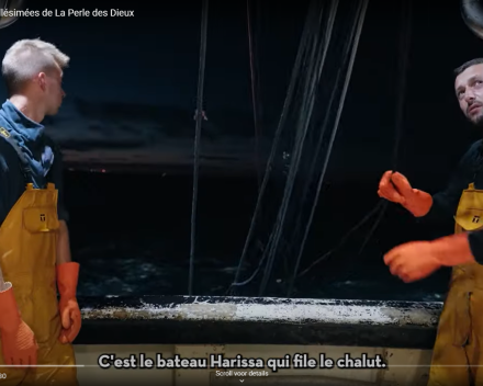 Nieuwe lading sardines komt er aan