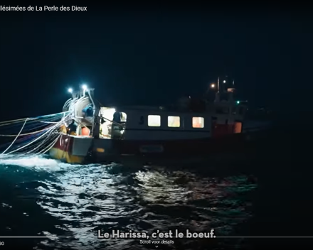 Nieuwe lading sardines komt er aan