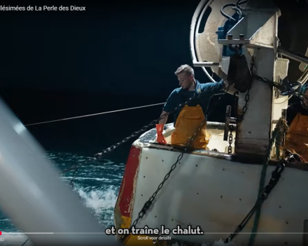 Nieuwe lading sardines komt er aan