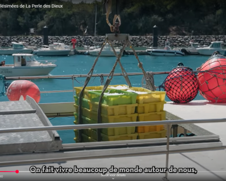 Nieuwe lading sardines komt er aan