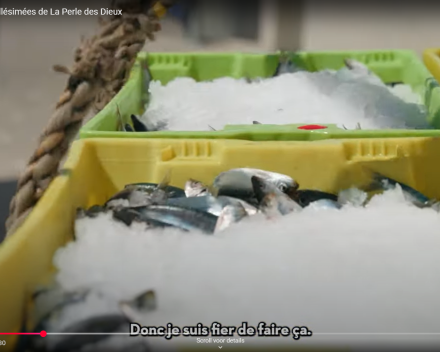 Nieuwe lading sardines komt er aan
