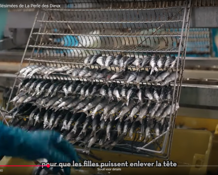 Nieuwe lading sardines komt er aan