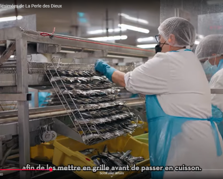 Nieuwe lading sardines komt er aan