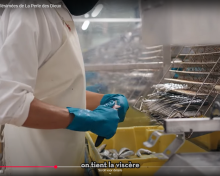 Nieuwe lading sardines komt er aan