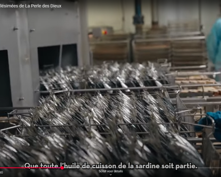 Nieuwe lading sardines komt er aan