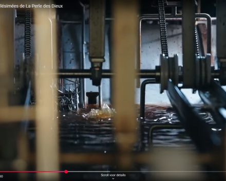 Nieuwe lading sardines komt er aan