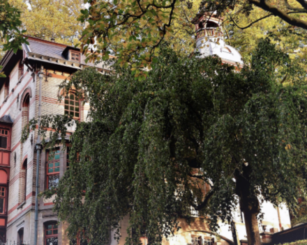 Kort van stof vandaag