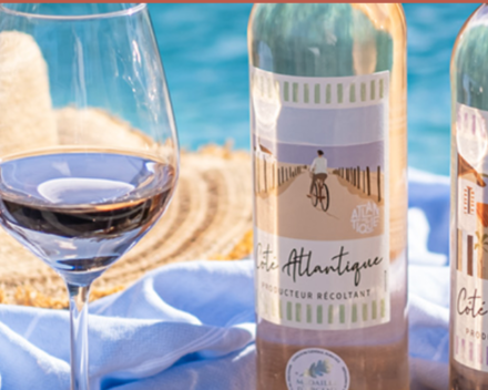 Te gast op de 1ste degustatie van het jaar voor wijninvoerders