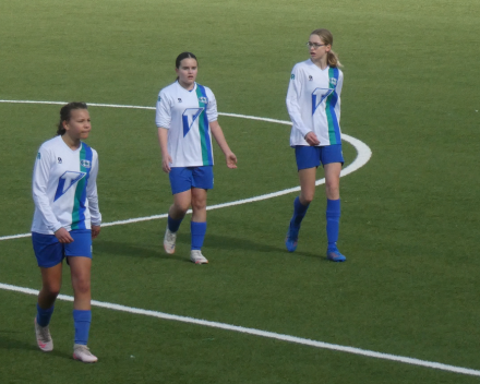 de nr 4 van VK Tienen