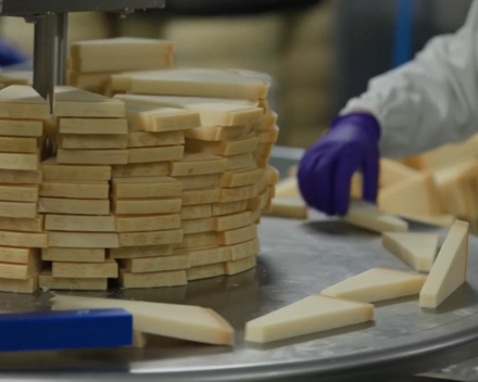 De productie van Parmigiano Regiano komt in het gedrang