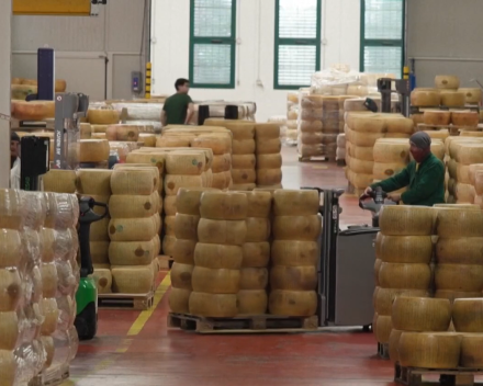 De productie van Parmigiano Regiano komt in het gedrang