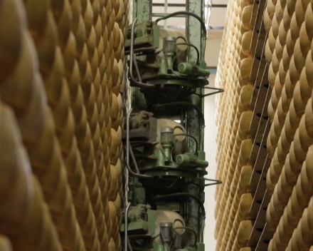 De productie van Parmigiano Regiano komt in het gedrang