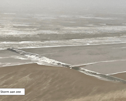 De voorbije week in woord en beeld