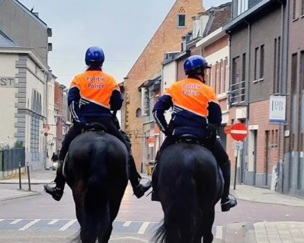 De oude eik, het kleine Mariabeeldje en de stoute herder
