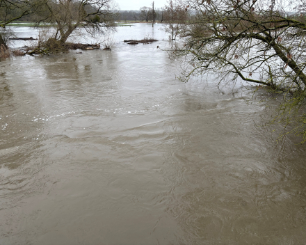 Ai, ai ai - alhoewel !