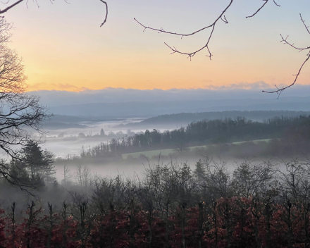 Ai, ai ai - alhoewel !