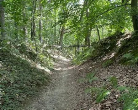 Op weg naar het zuiden...