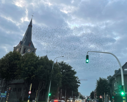 De voorbije week in woord en beeld