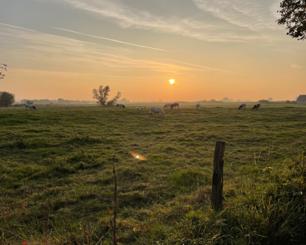 De voorbije week in woord en beeld